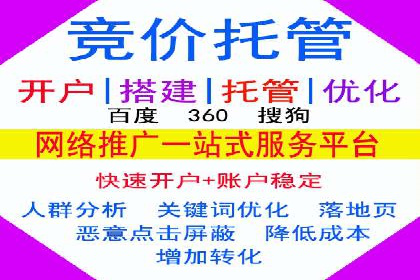 SEM代运营案例：助力企业实现线上转型